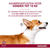 Advantix 40/200 Spot-On Hond <4kg