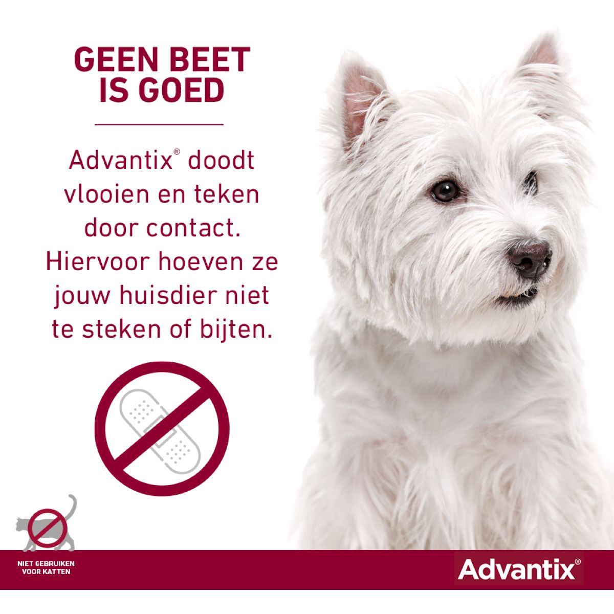 Advantix 600/3000 Spot On Hond