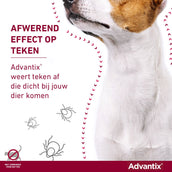 Advantix 600/3000 Spot On Hond