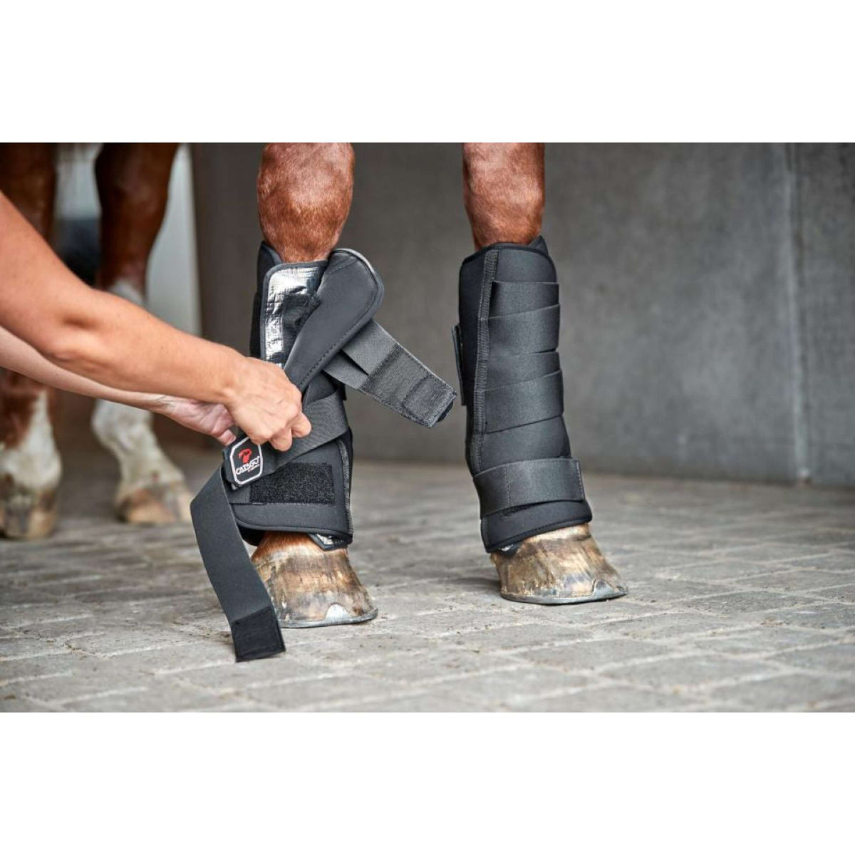 Catago Neoprene Shell for Stable Boot Zwart