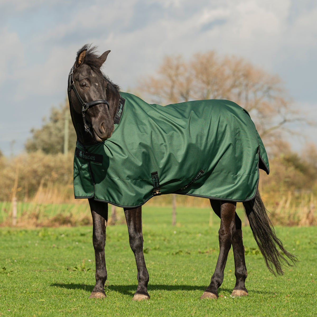 Agradi by Bucas Turnout Rug 0g Groen/Zwart