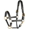 Harry's Horse Halster Leder Met Bies Zwart/Goud