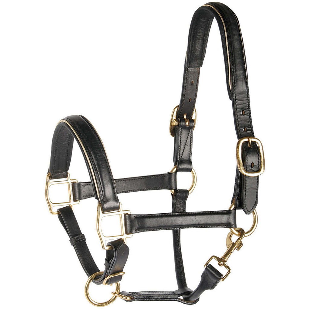 Harry's Horse Halster Leder Met Bies Zwart/Goud