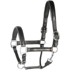 Harry's Horse Halster Leder Met Bies Zwart/Zilver