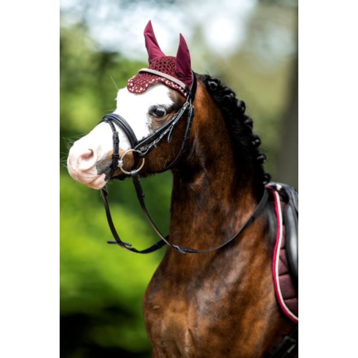 HB Oornetje met Trydac Swarovski steentjes Burgundy