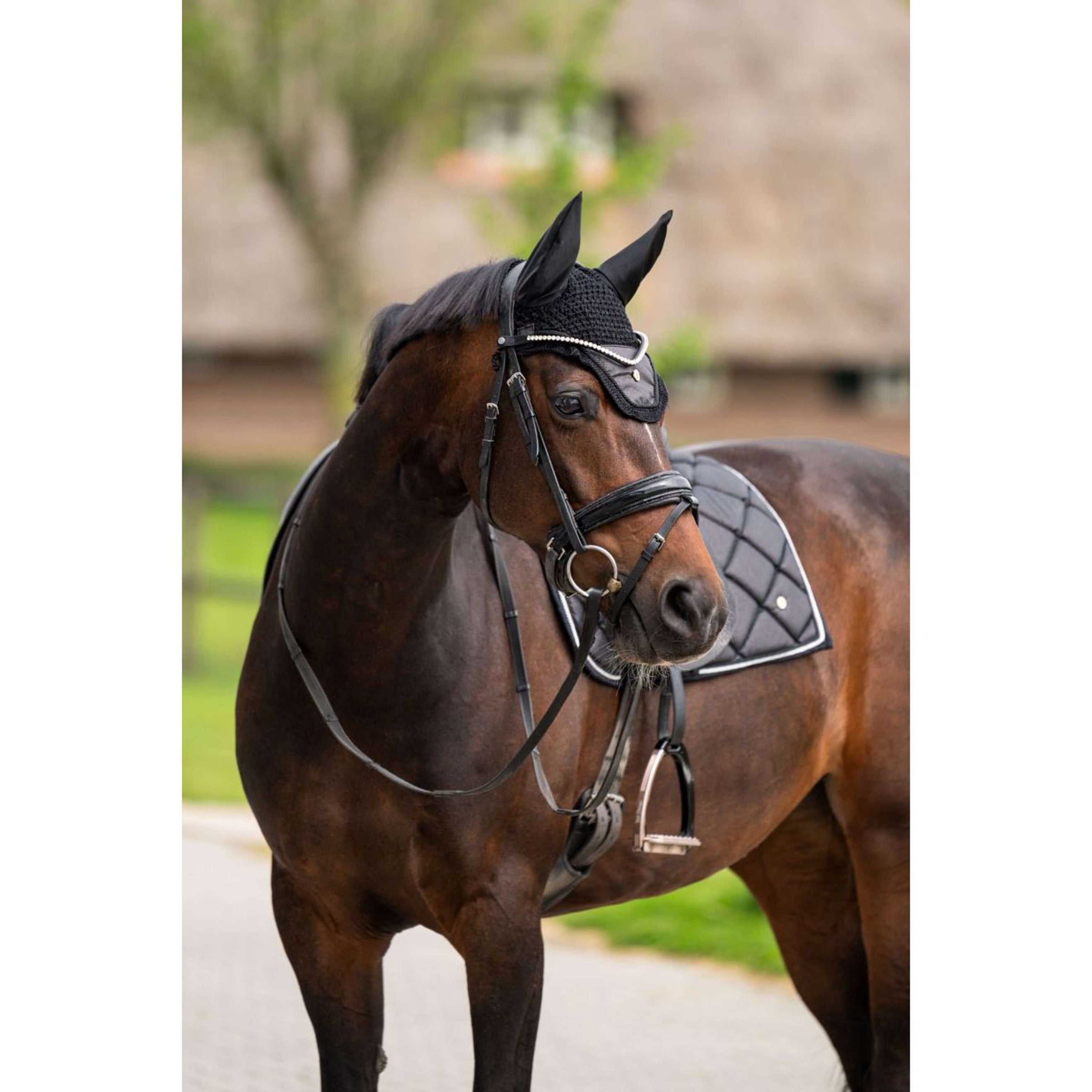 HB Oornetje Showtime Glitter Zwart HB Oornetje Showtime Glitter Zwart