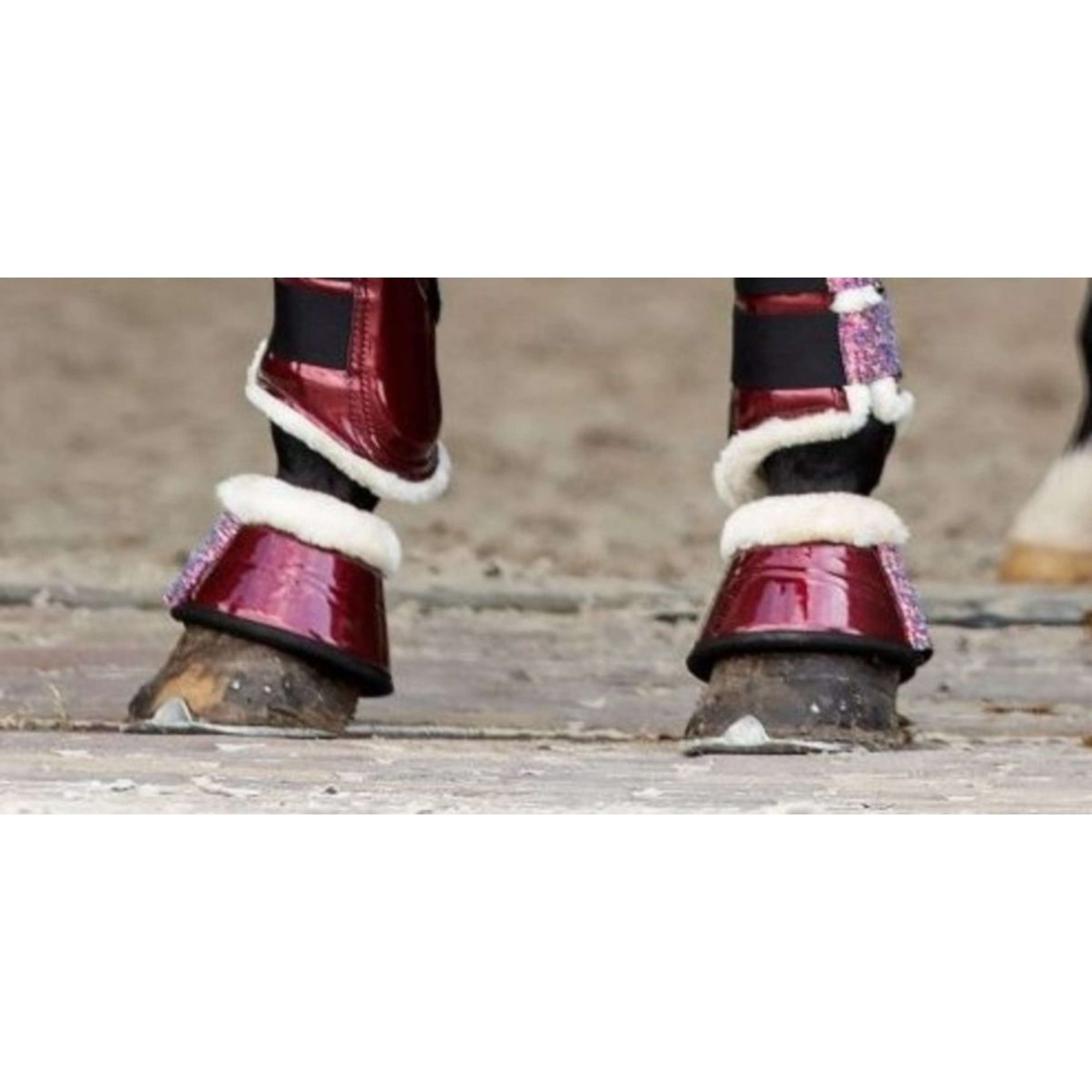 HB Showtime Springschoenen Gold Rush Burgundy HB Showtime Springschoenen Gold Rush Burgundy