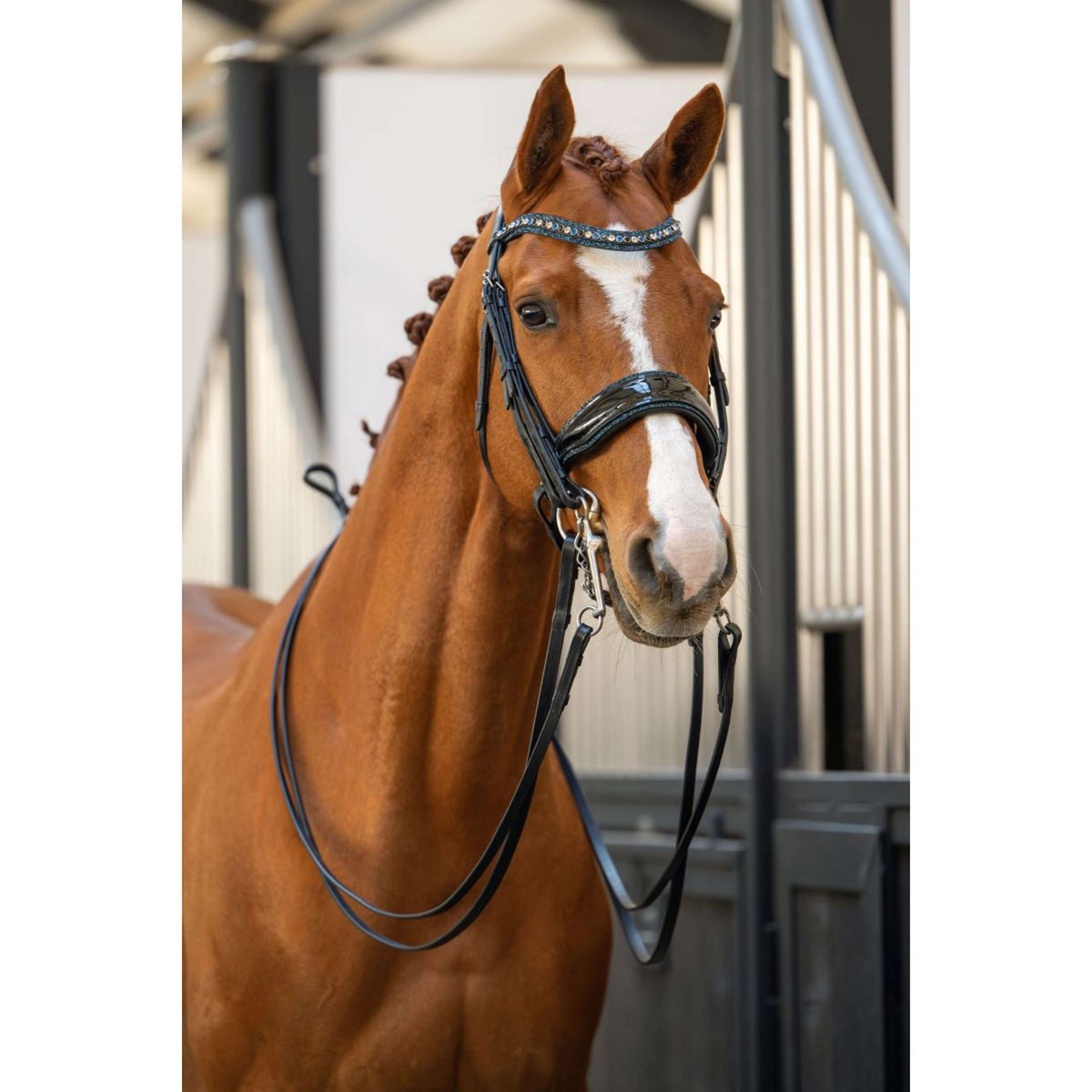 HB Hoofdstel Showtime One in a Million Zwart/Navy Glitter