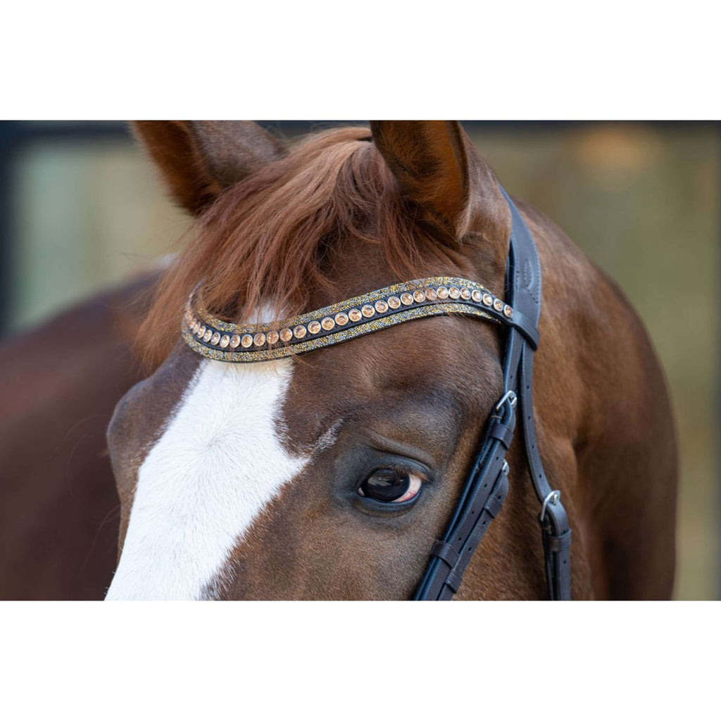 HB Hoofdstel Showtime It is So Special Brown/Golden Glitter