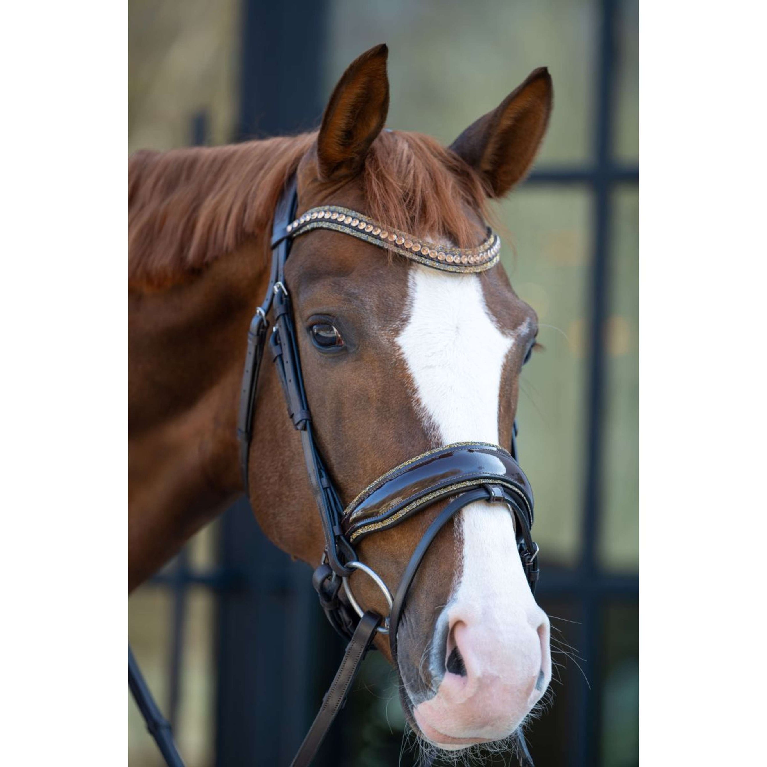 HB Hoofdstel Showtime It is So Special Brown/Golden Glitter