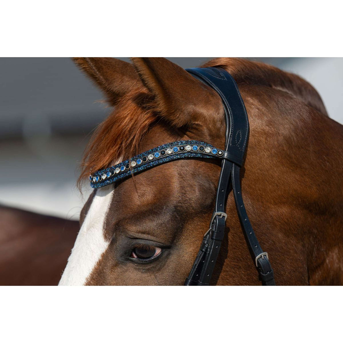 HB Hoofdstel Showtime It is So Special Zwart/Navy Glitter