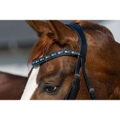 HB Hoofdstel Showtime It is So Special Zwart/Navy Glitter