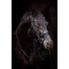 HB Hoofdstel Showtime Evalira Blauw/Zwart