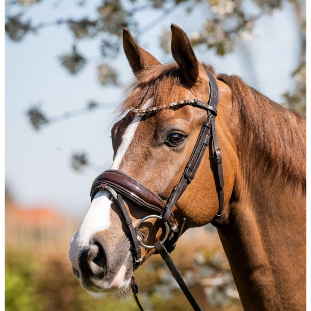 HB Hoofdstel Juwel Glitter Bruin/Goud