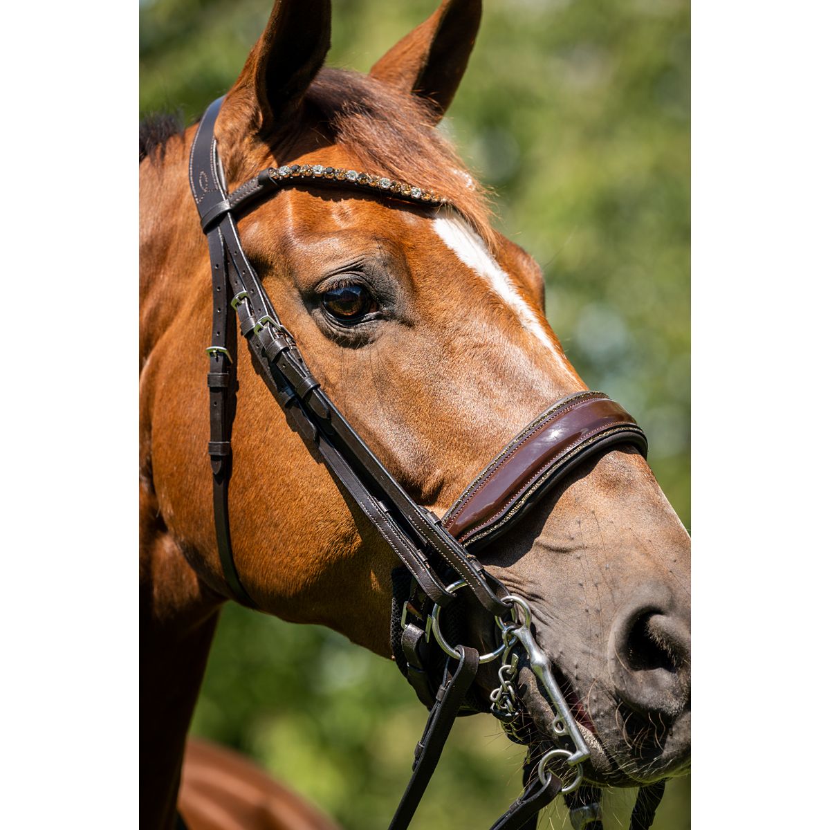 HB Showtime Stang en Trenshoofdstel Special for You Brown/Golden Glitter