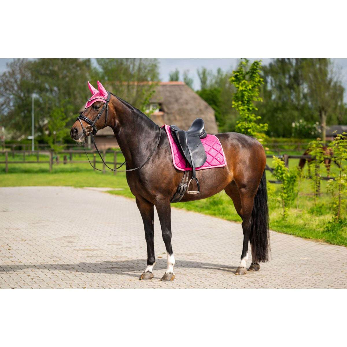 HB Zadeldekje Dressuur Showtime Fucsia