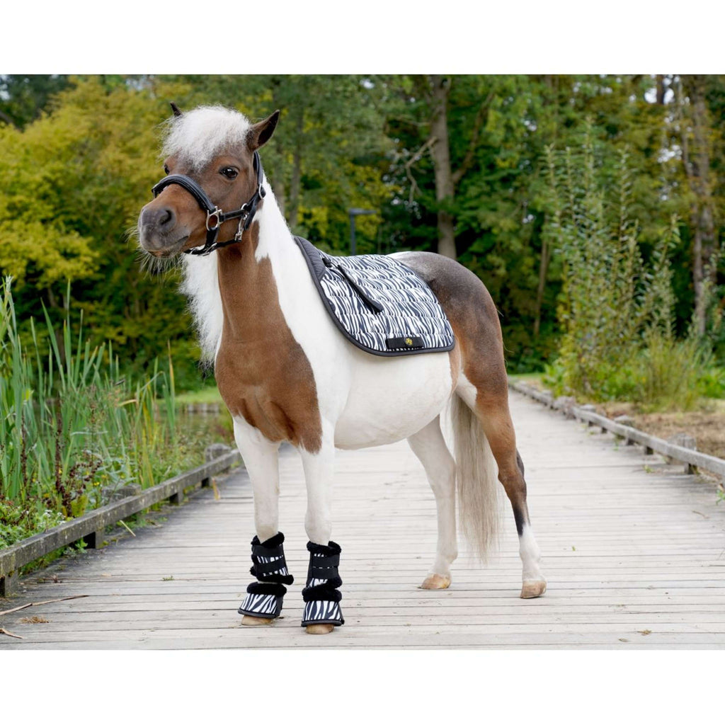 HB Zadeldekje Zebra Veelzijdigheid Zwart/Wit