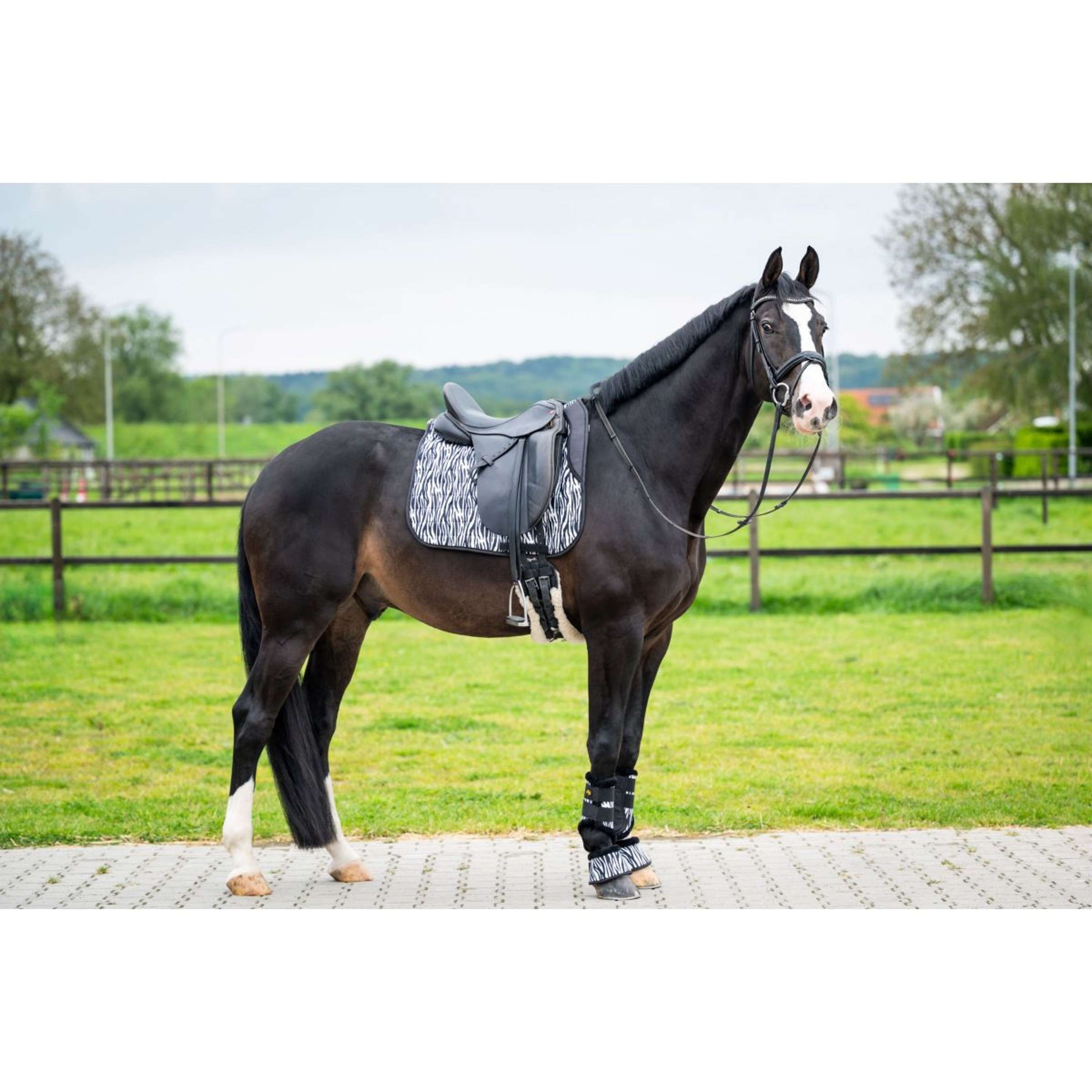 HB Zadeldekje Zebra Dressuur Zwart/Wit