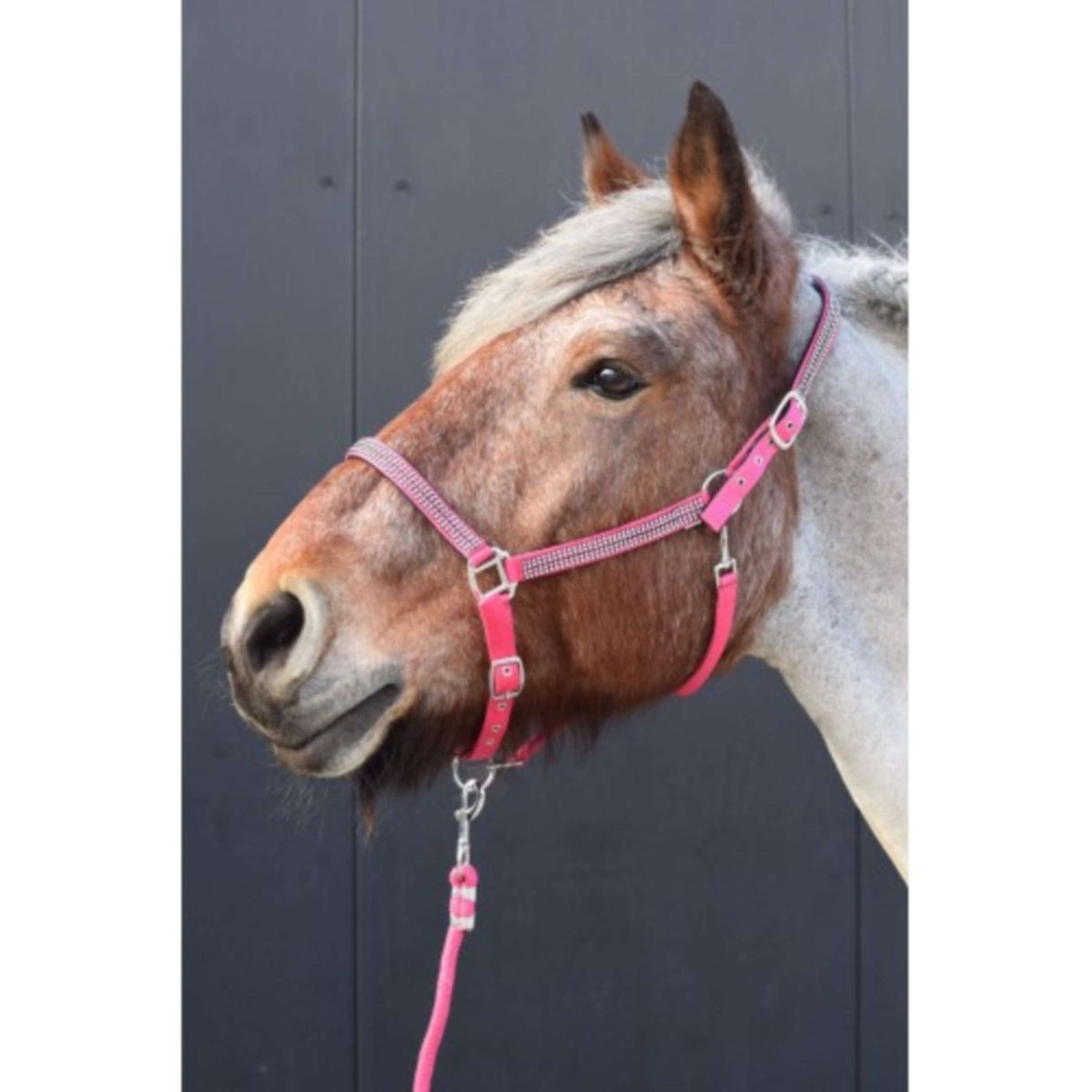 HB Halster Diamonds Collection Fuchsia HB Halster Diamonds Collection Fuchsia