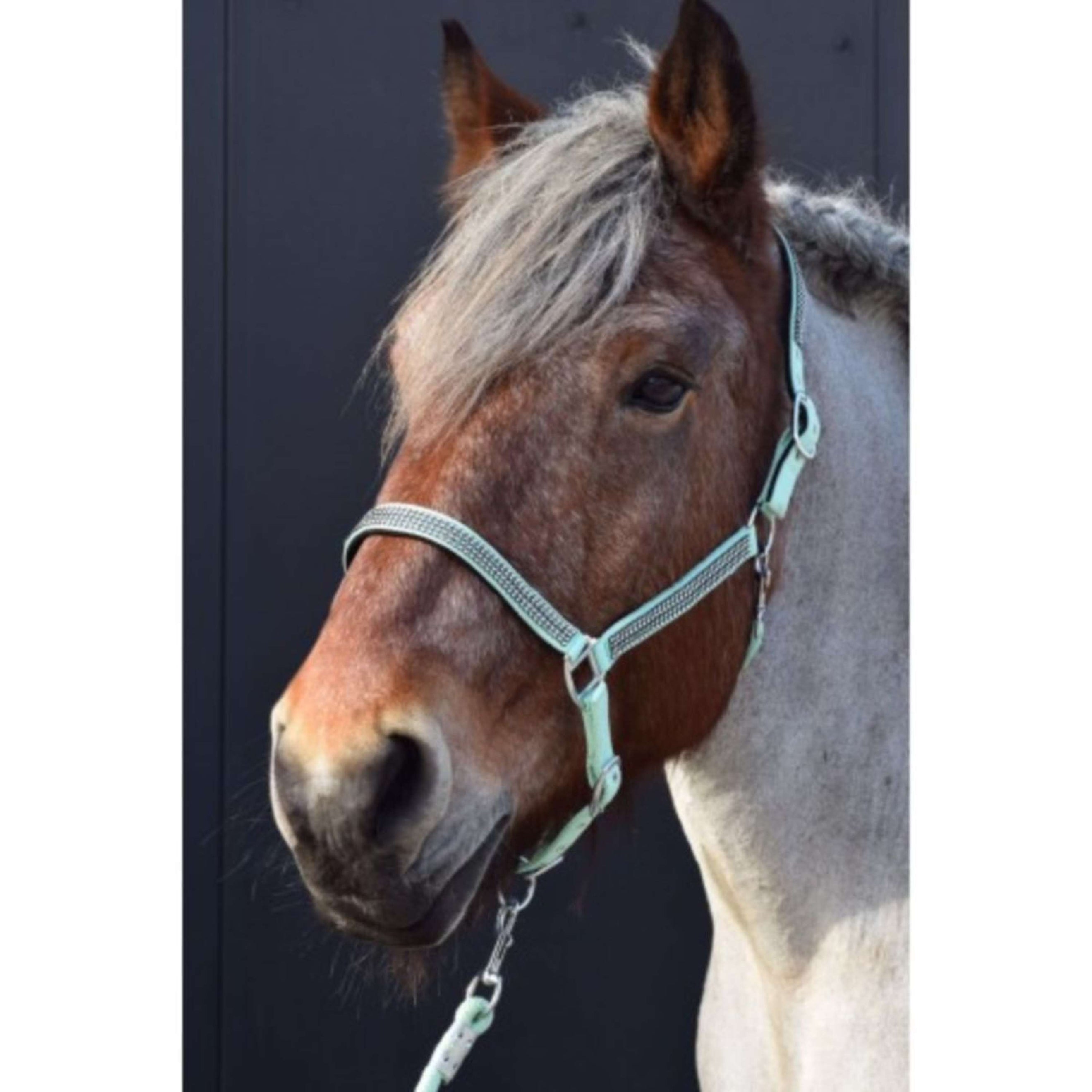 HB Halster Diamonds Collection Mintgroen HB Halster Diamonds Collection Mintgroen