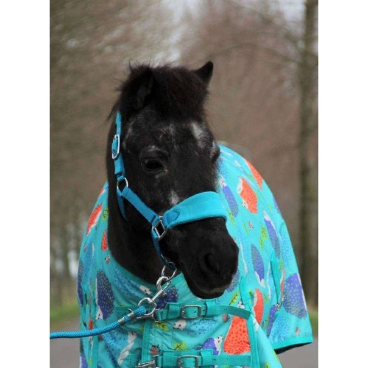 HB Harry & Hector Halster Bellwood Fleece Turquoise