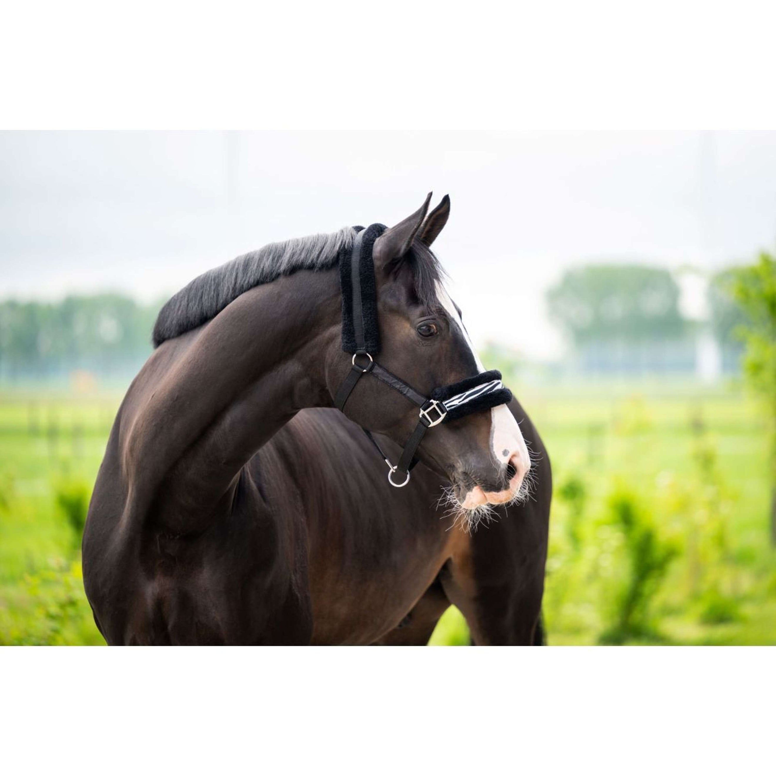 HB Halster Zebra Zwart/Wit HB Halster Zebra Zwart/Wit