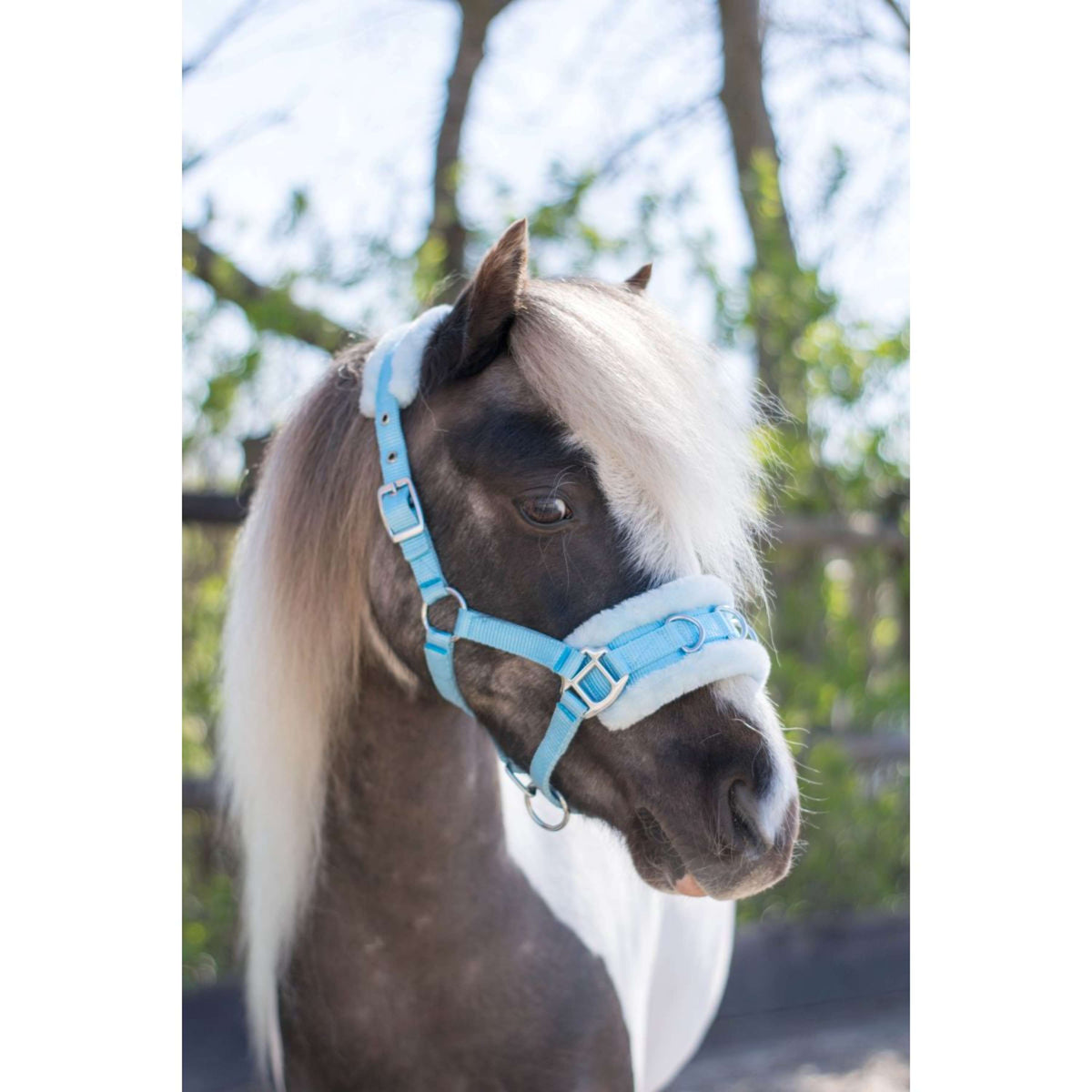 HB Halster Nylon Kaptoom Lichtblauw