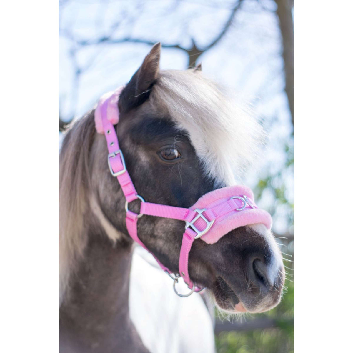 HB Halster Nylon Kaptoom Roze