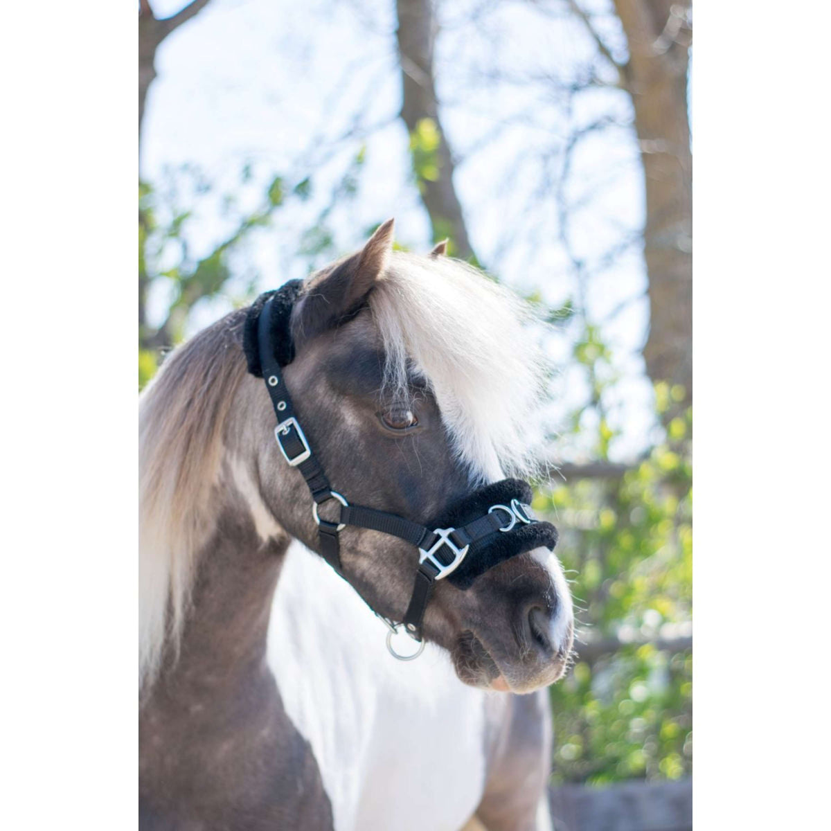 HB Halster Nylon Kaptoom Zwart