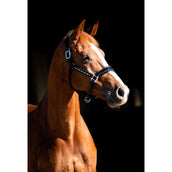 HB Showtime Halster Rivet Swarovski Leer Zwart/Navy