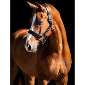 HB Showtime Halster Rivet Swarovski Leer Zwart/Navy