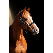 HB Showtime Halster Rivet Swarovski Leer Zwart