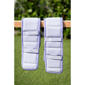 HB Tuigonderleggers Spring Lichtpaars