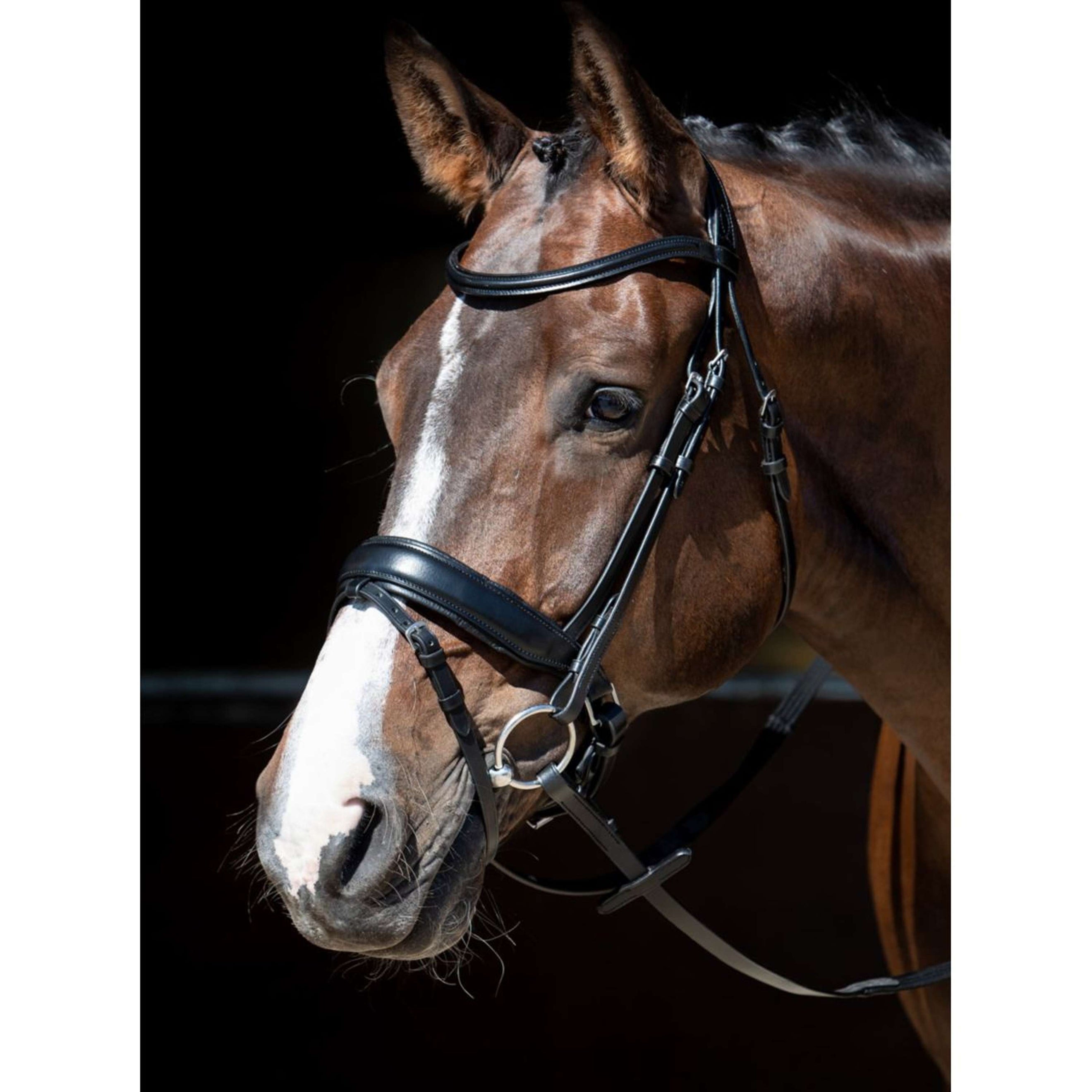 Harry's Horse Hoofdstel MM Foramen Free Zwart Harry's Horse Hoofdstel MM Foramen Free Zwart