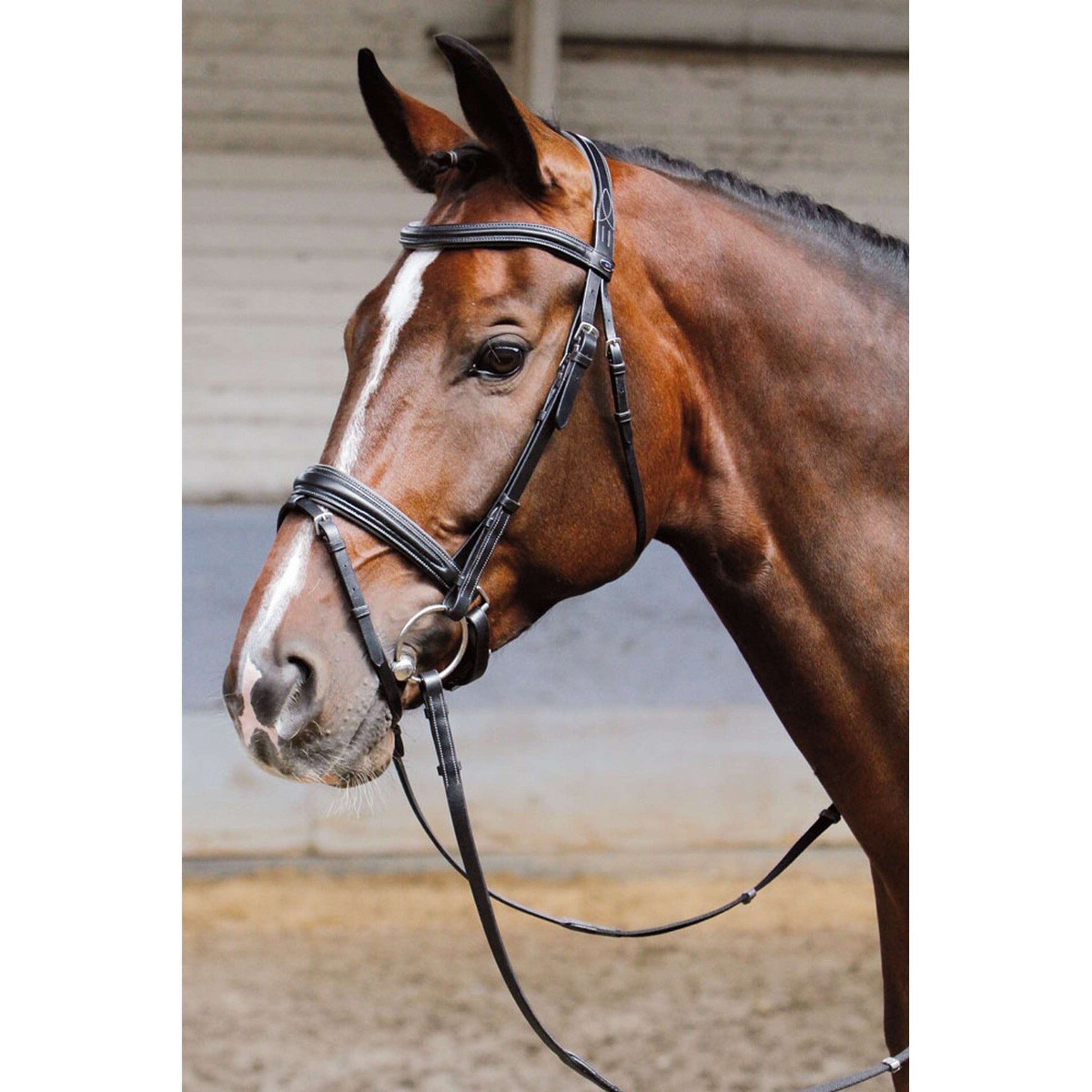 Harry's Horse Hoofdstel Soft Zwart Harry's Horse Hoofdstel Soft Zwart