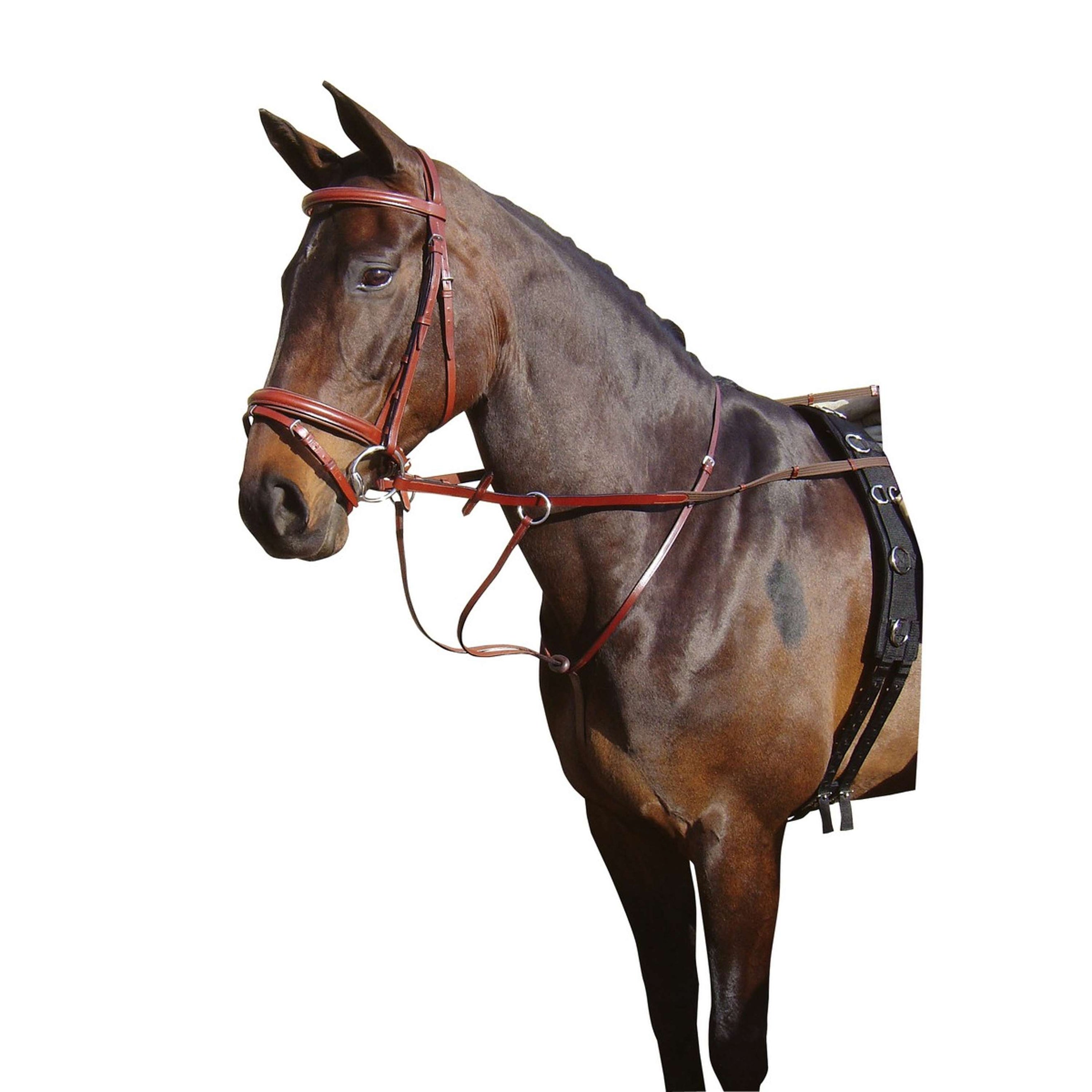 Harry's Horse Martingaal Bruin Harry's Horse Martingaal Bruin