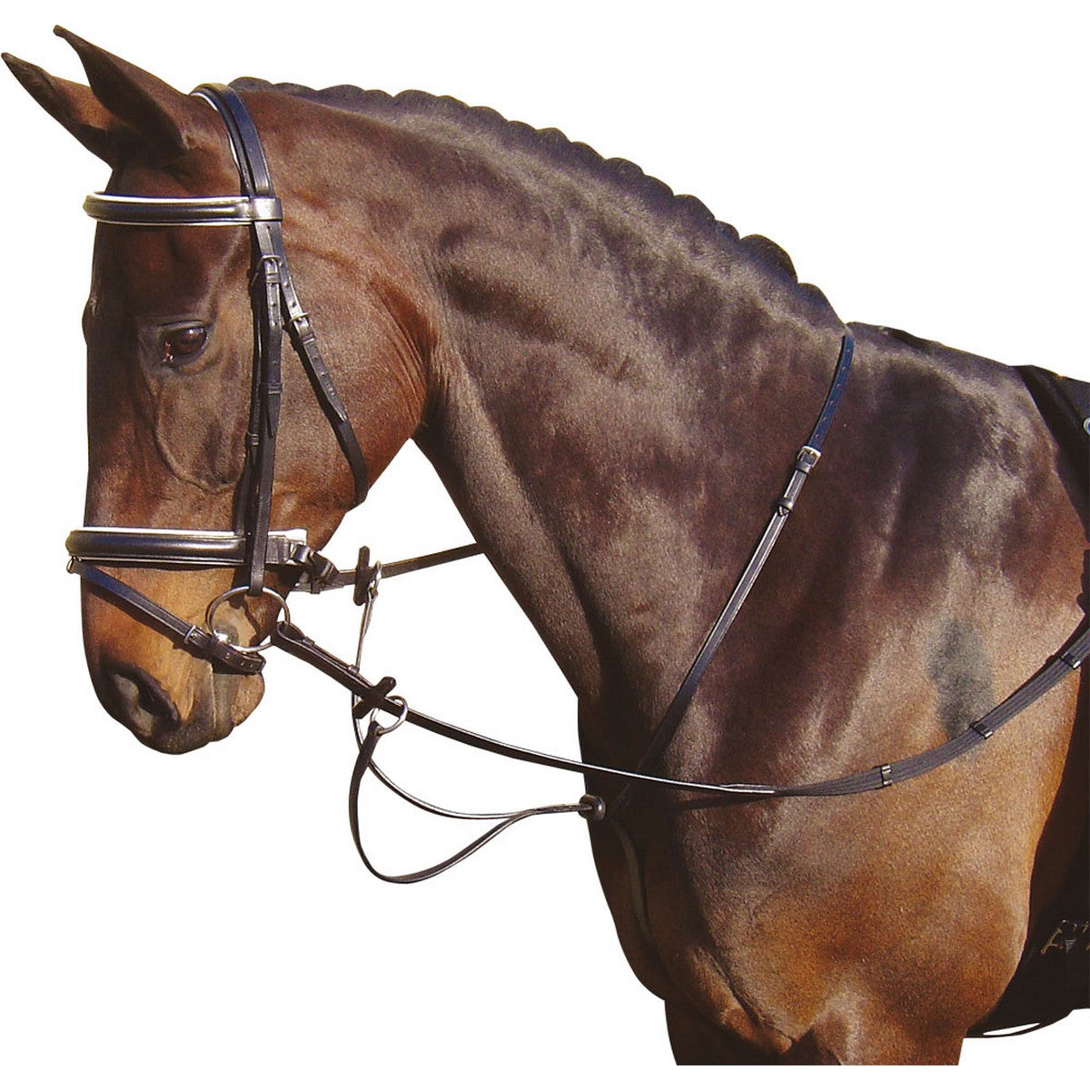 Harry's Horse Martingaal Zwart