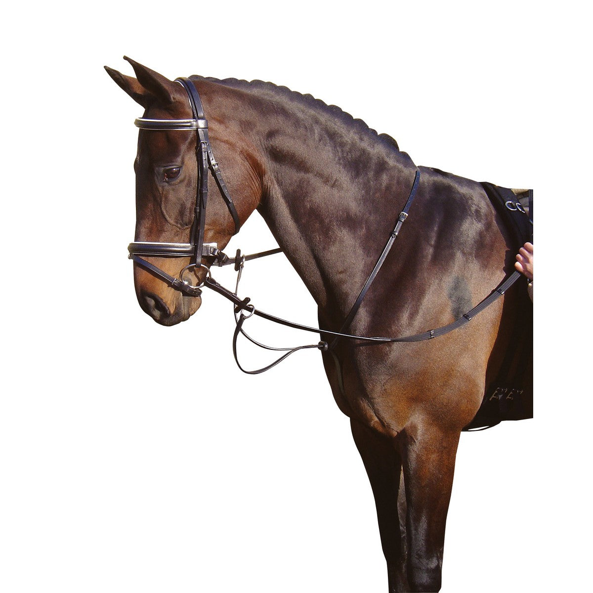 Harry's Horse Martingaal Zwart