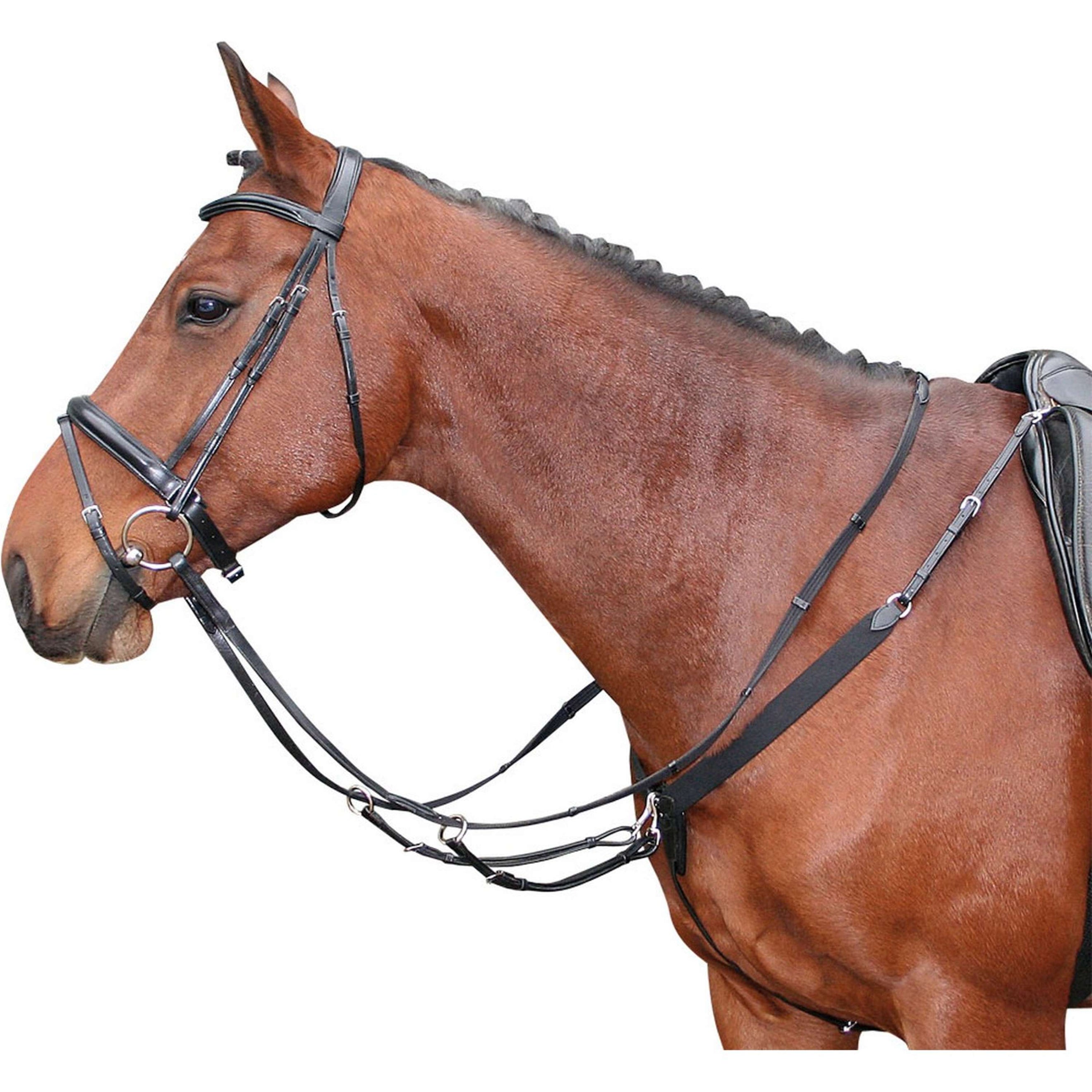 Harry's Horse Elastisch Voortuig Zwart Harry's Horse Elastisch Voortuig Zwart