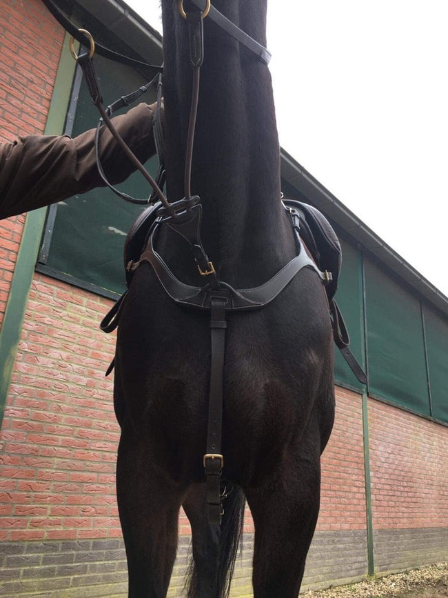 Harry's Horse Voortuig Deluxe Bruin