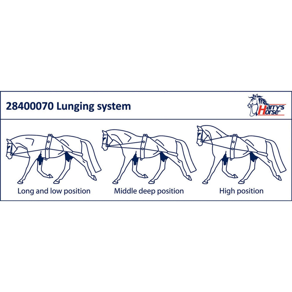 Harry's Horse Longeerhulpteugel