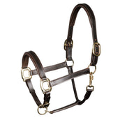 Harry's Horse Halster Leder Padded Bruin