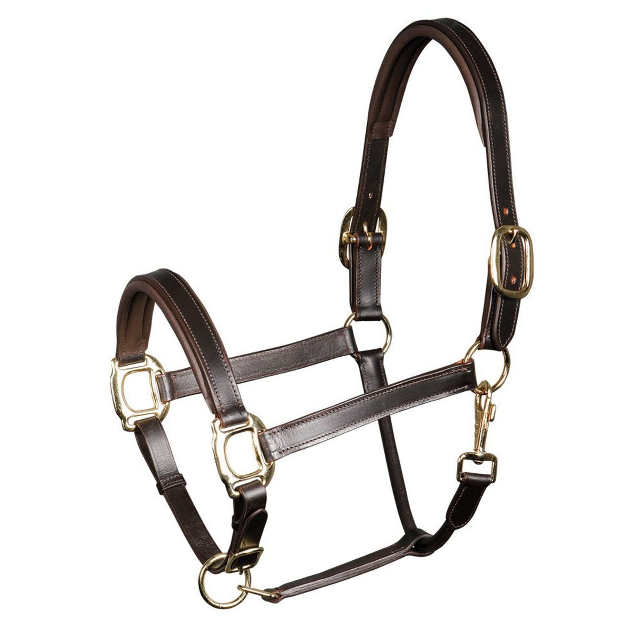 Harry's Horse Halster Leder Padded Bruin Harry's Horse Halster Leder Padded Bruin