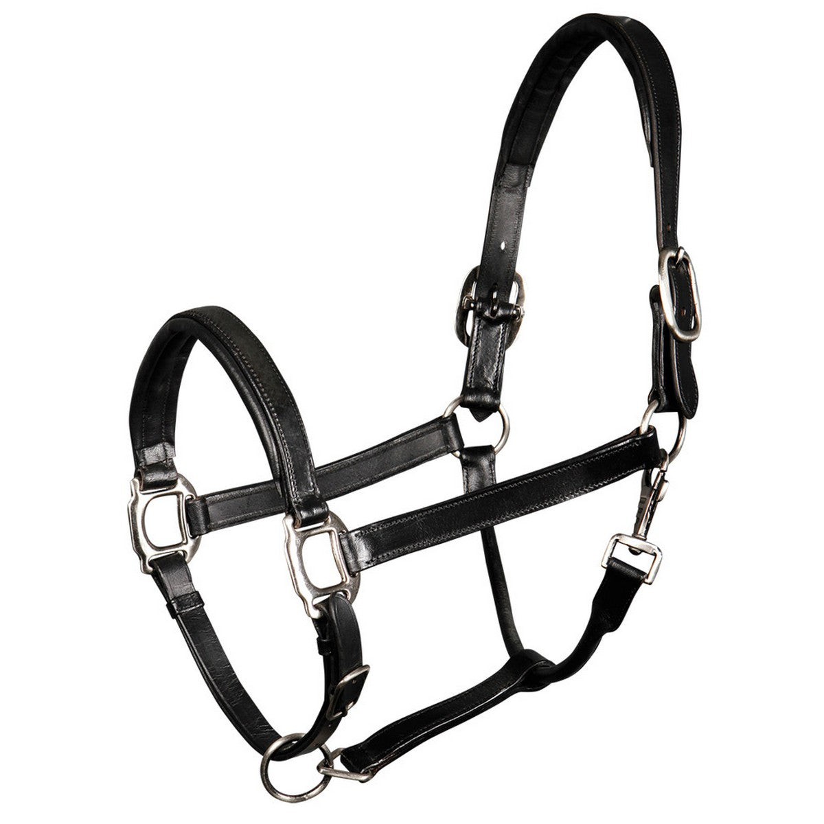 Harry's Horse Halster Leder Padded Zwart