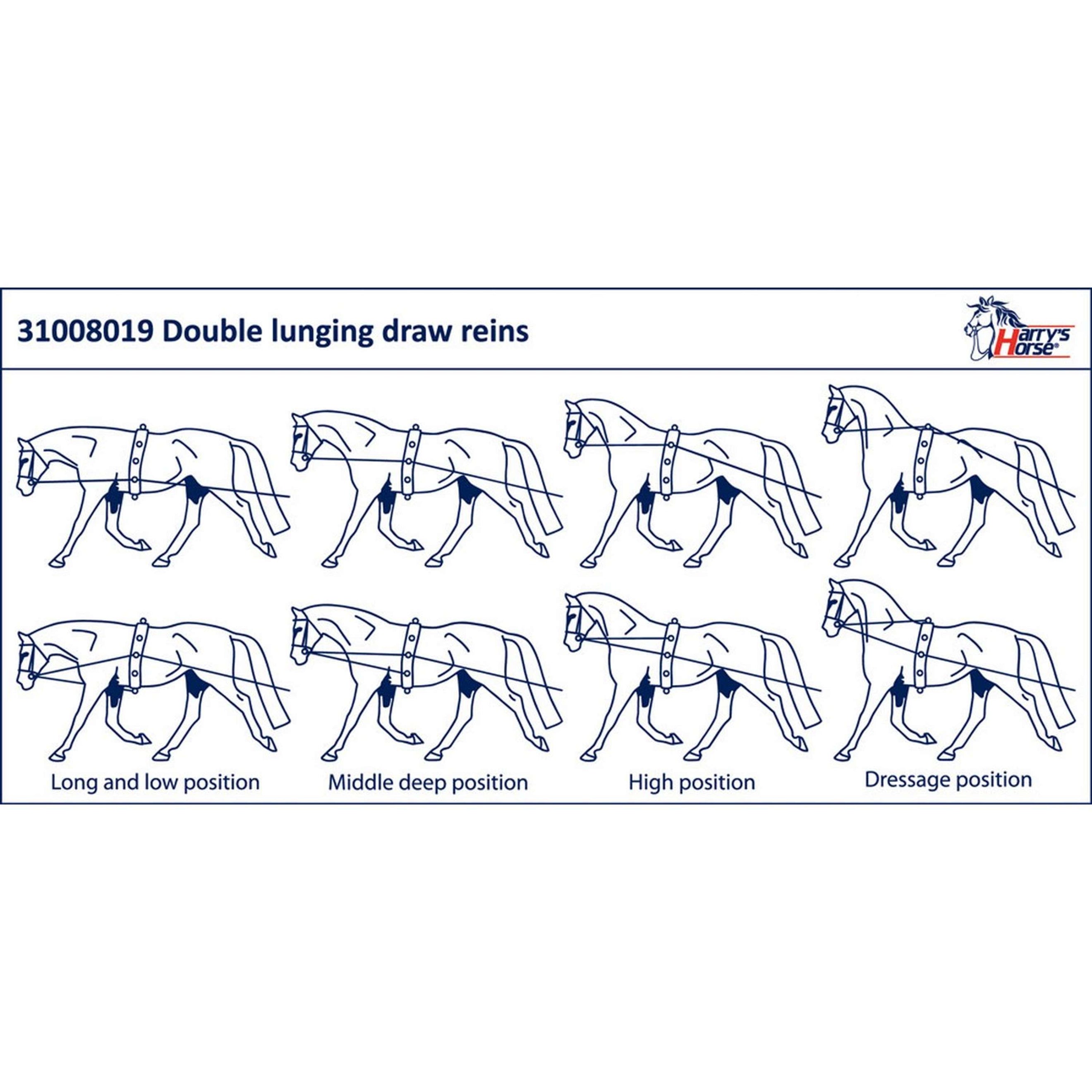 Harry's Horse Dubbele Longeerlijn Zwart Harry's Horse Dubbele Longeerlijn Zwart