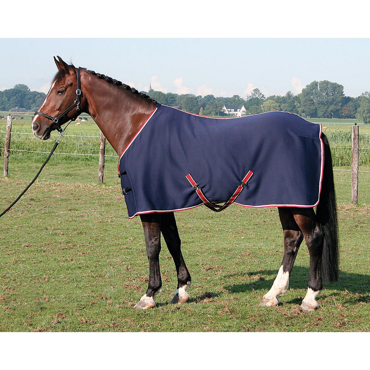 Harry's Horse Jersey Cooler Deken Navy