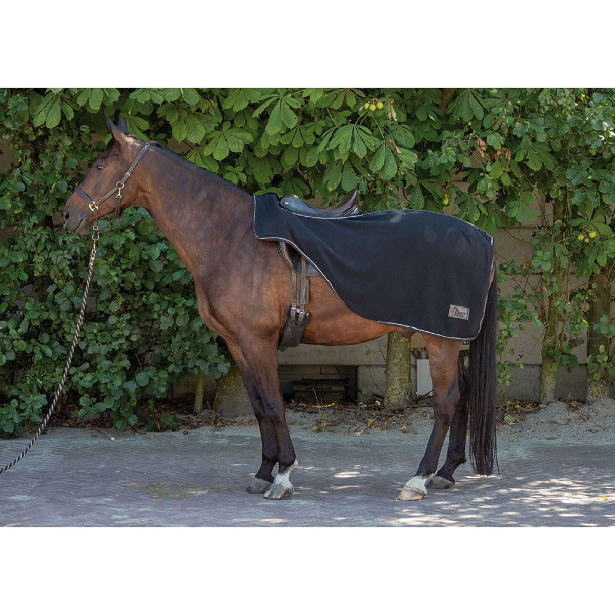 Harry's Horse Uitrijdeken Fleece Zwart