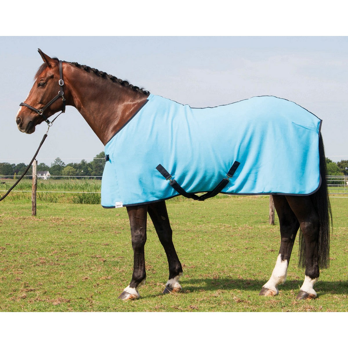 Harry's Horse Fleecedeken Colours Turquoise