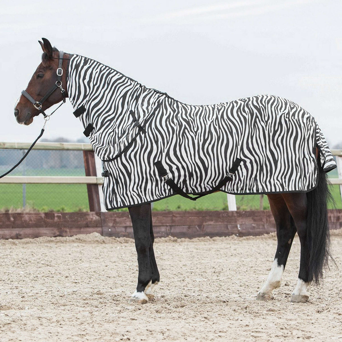 Harry's Horse Vliegendeken Zwart Losse Hals Zebra