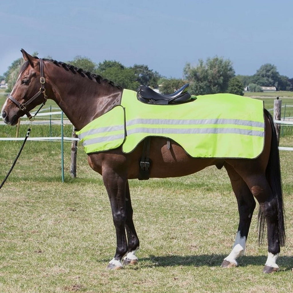 Harry's Horse Uitrijdeken Reflective Reflecterend